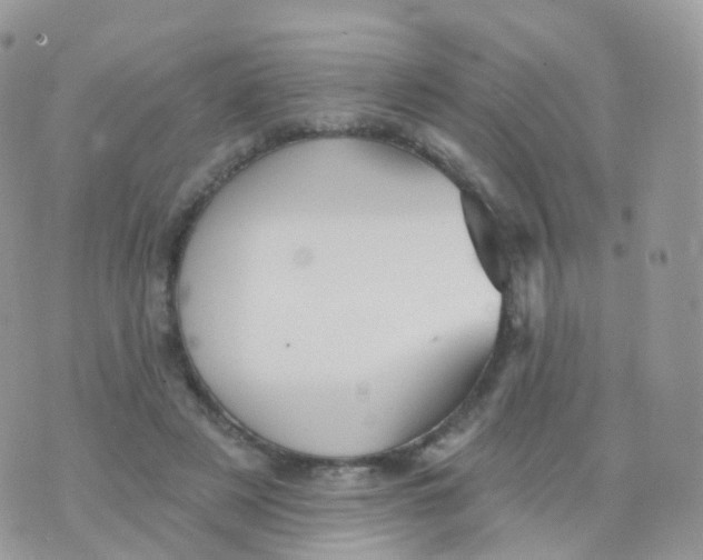 X0000070400497200606302015