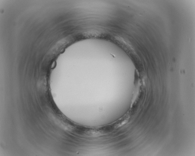 X0000070400498200606302015