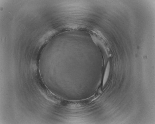 X0000070400500200606302015