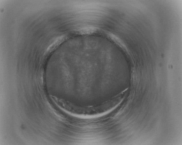 X0000070400501200606302015