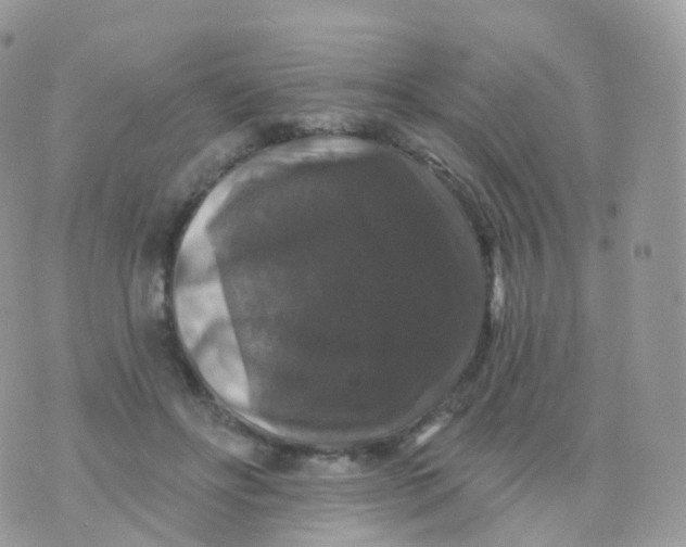 X0000070400502200606302015