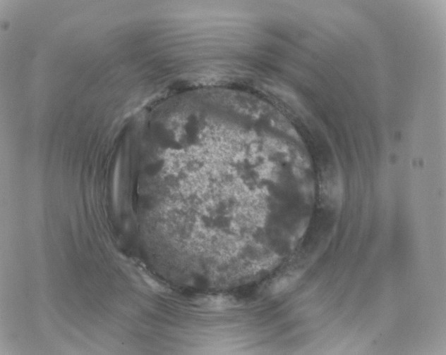 X0000070400503200606302015