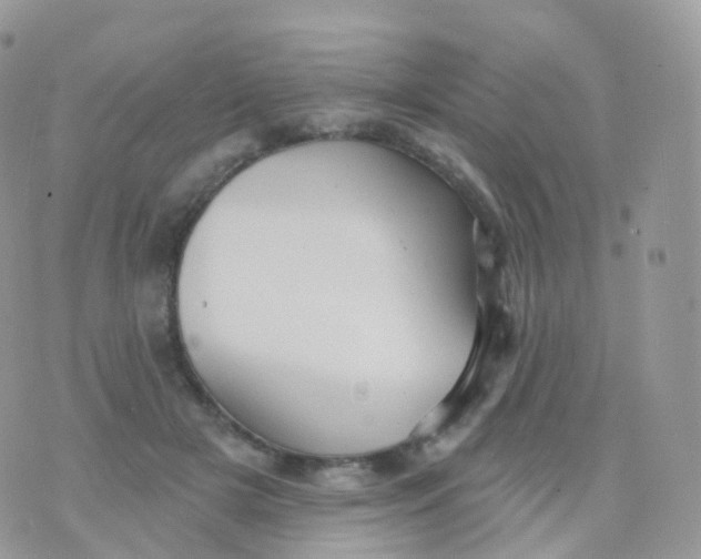 X0000070400505200606302015