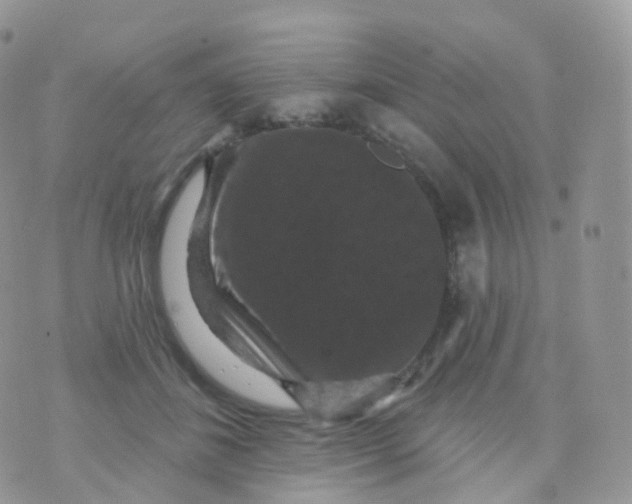 X0000070400508200606302015