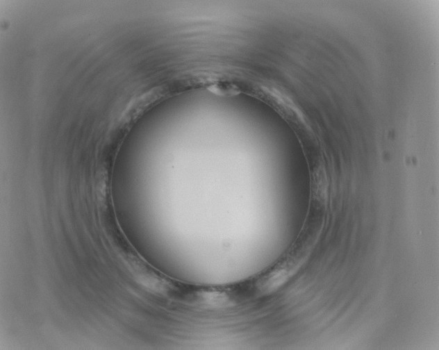 X0000070400509200606302014