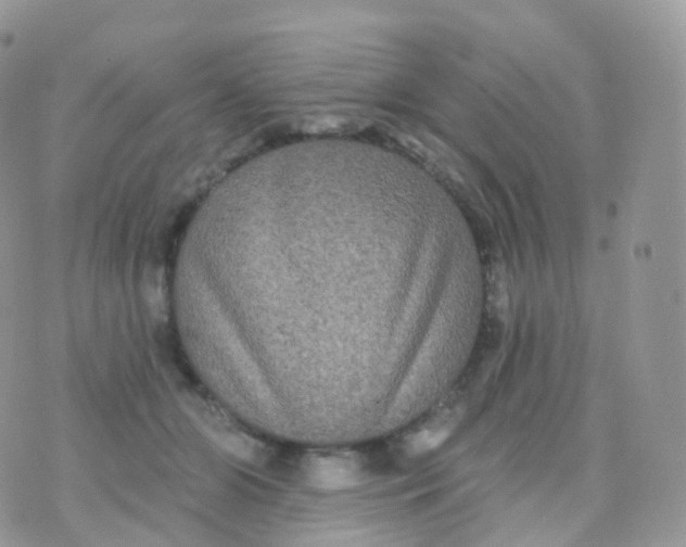 X0000070400510200606302014