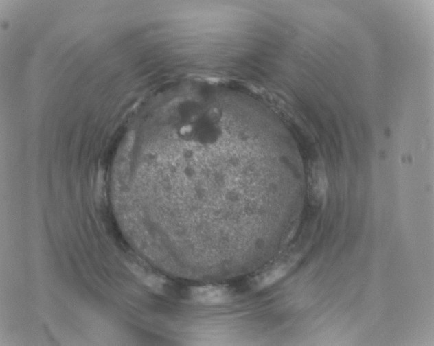 X0000070400511200606302014