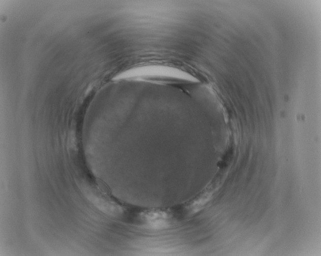 X0000070400512200606302014