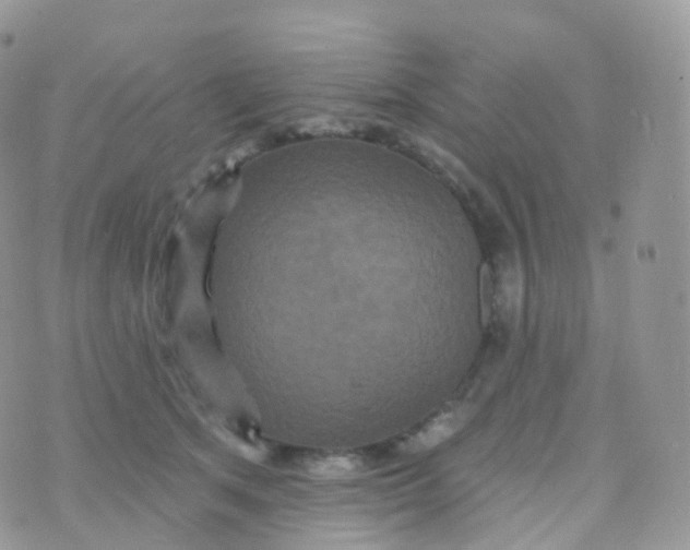 X0000070400513200606302014