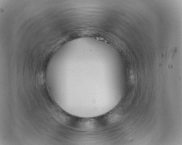 X0000070400514200606302014