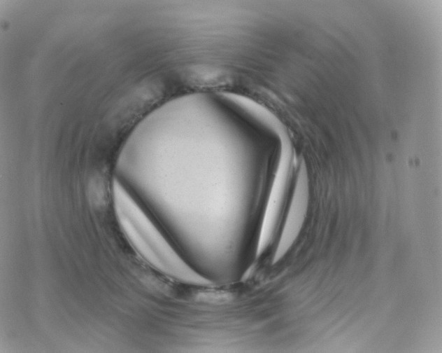 X0000070400515200606302014