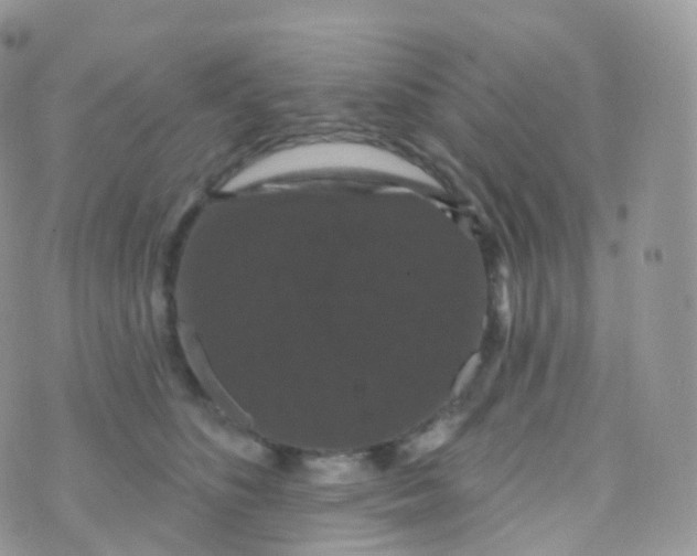 X0000070400516200606302014