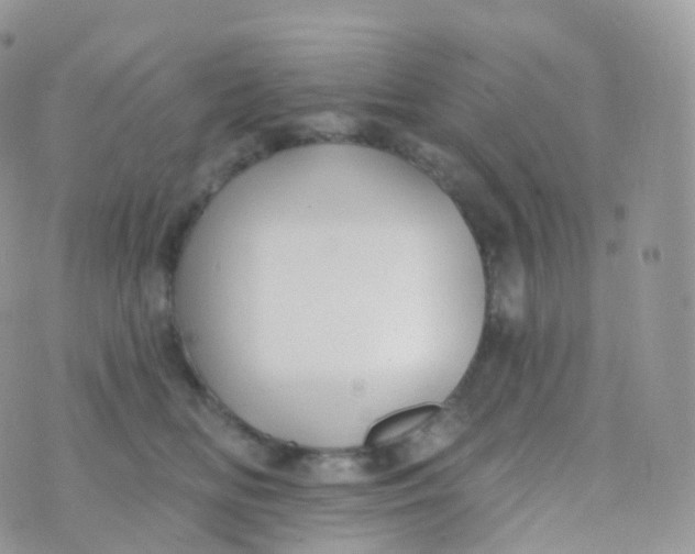 X0000070400518200606302014