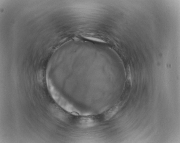 X0000070400519200606302014