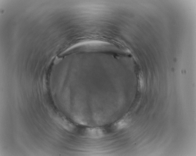 X0000070400520200606302014