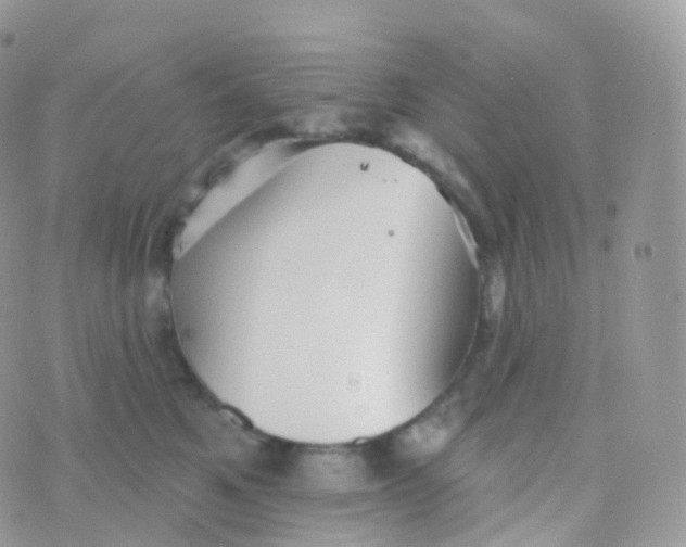 X0000070400521200606302014