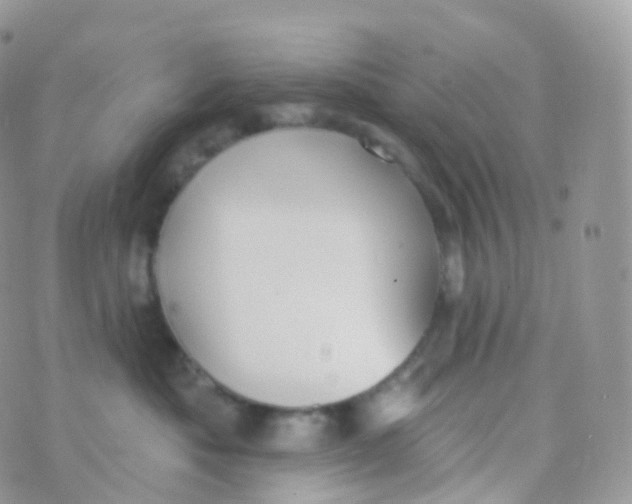 X0000070400525200606302014