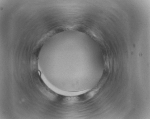 X0000070400526200606302014