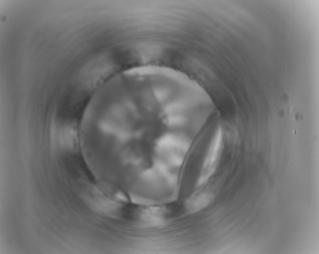 X0000070400527200606302014