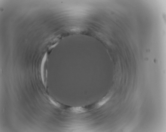 X0000070400528200606302014