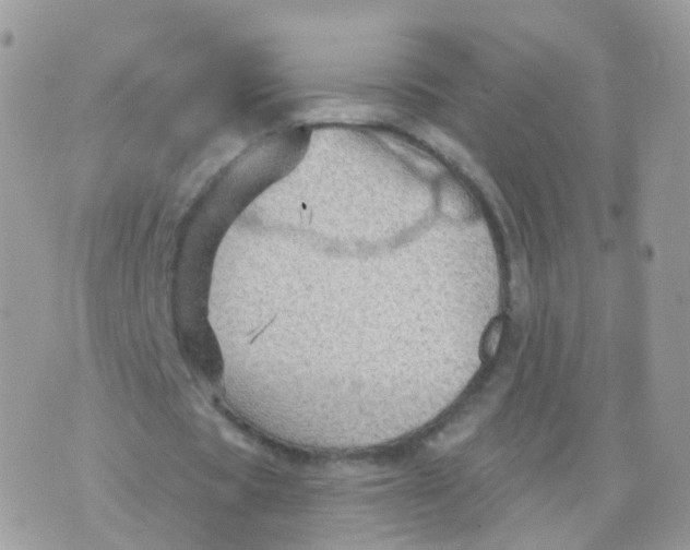 X0000070400529200606302013