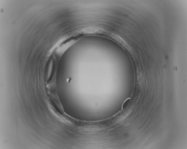 X0000070400530200606302013