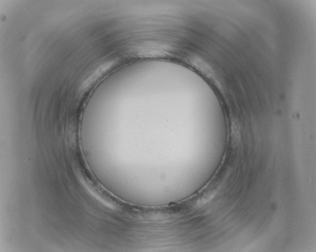 X0000070400533200606302013