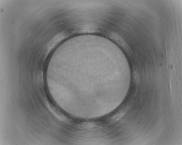 X0000070400534200606302013