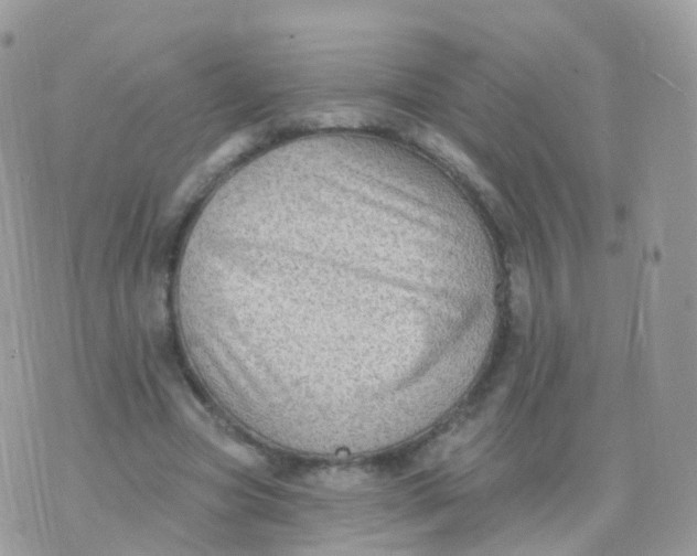 X0000070400537200606302014