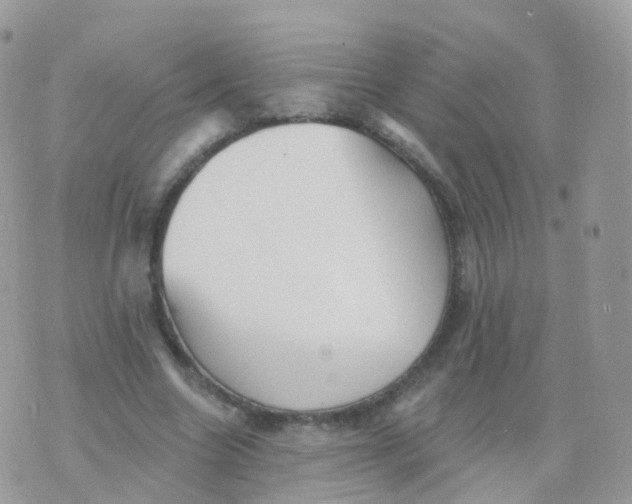 X0000070400538200606302014