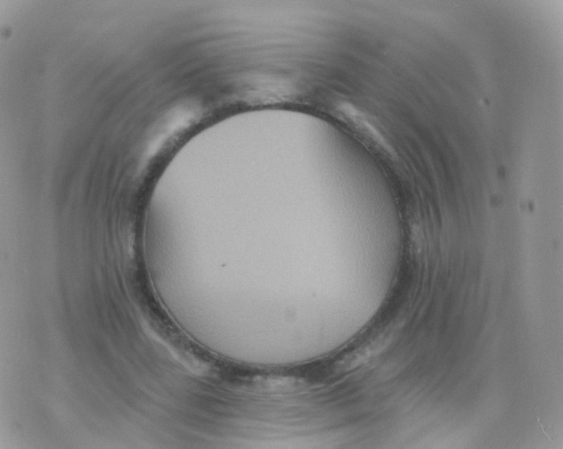 X0000070400539200606302014