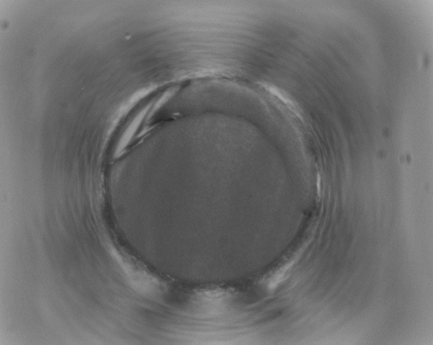 X0000070400540200606302014