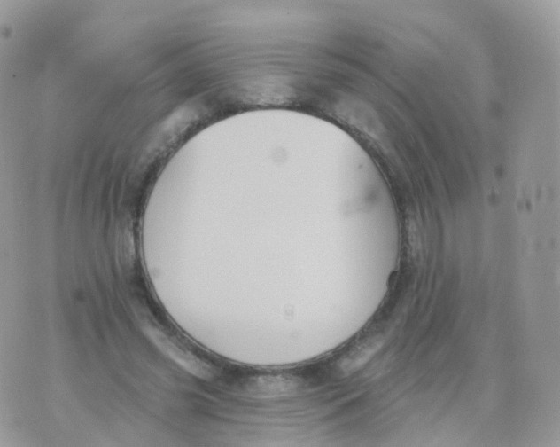 X0000070400541200606302014