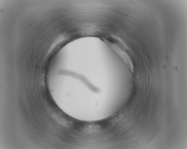 X0000070400543200606302014