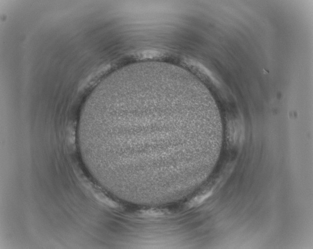 X0000070400545200606302014