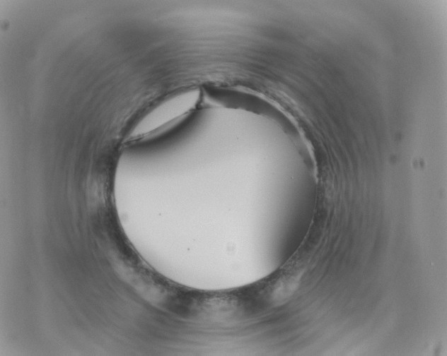 X0000070400546200606302014