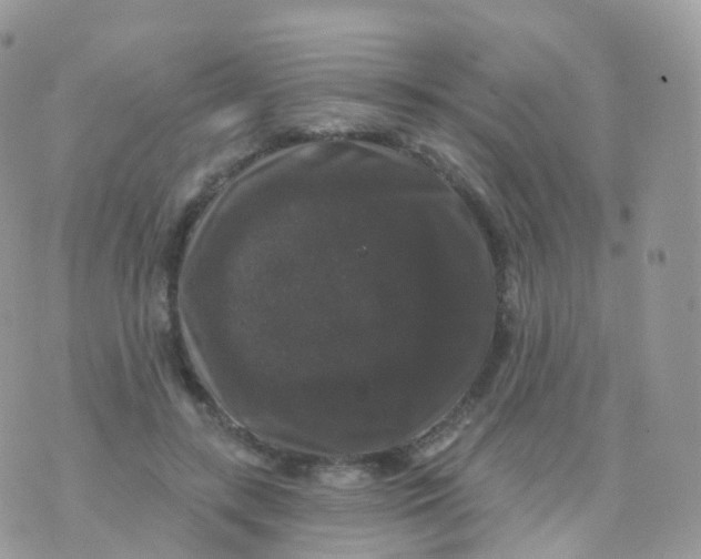 X0000070400547200606302014