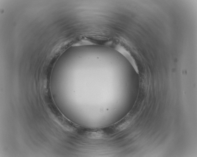 X0000070400548200606302014