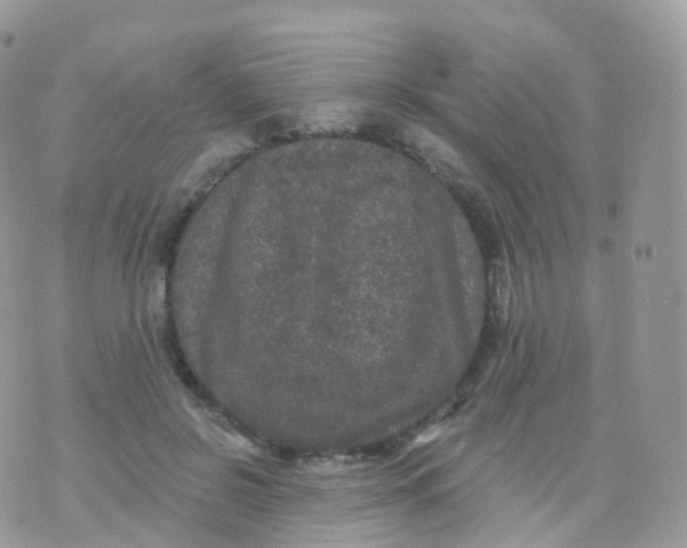 X0000070400550200606302014