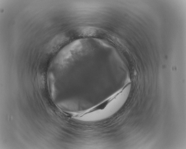 X0000070400551200606302014