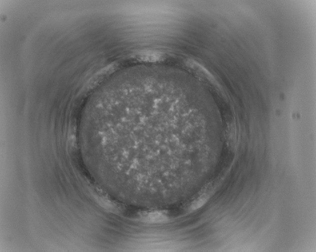 X0000070400553200606302014