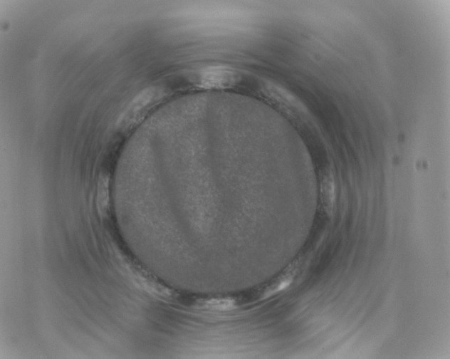 X0000070400554200606302014