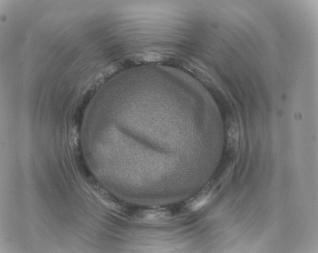 X0000070400555200606302014