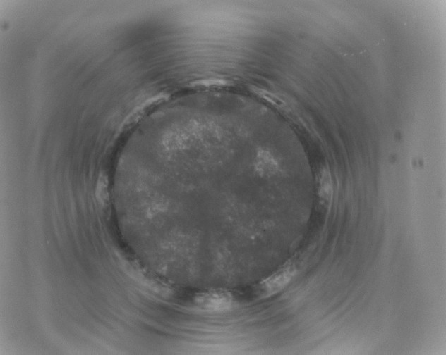 X0000070400559200606302014