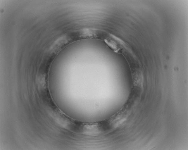 X0000070400560200606302014