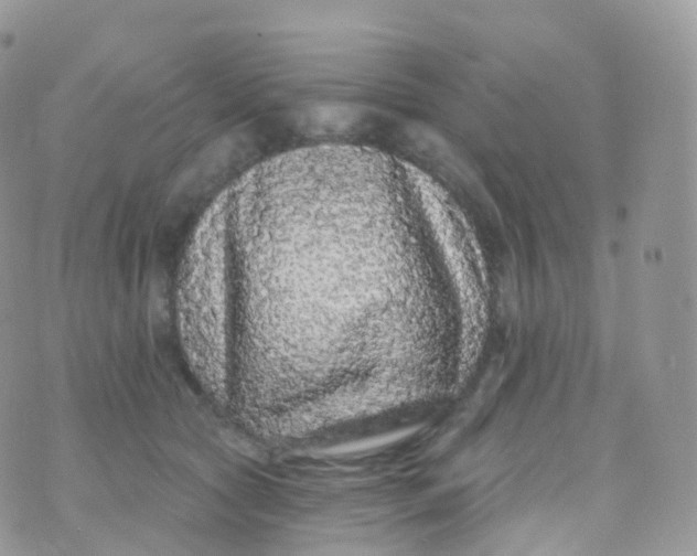 X0000070400561200606302014