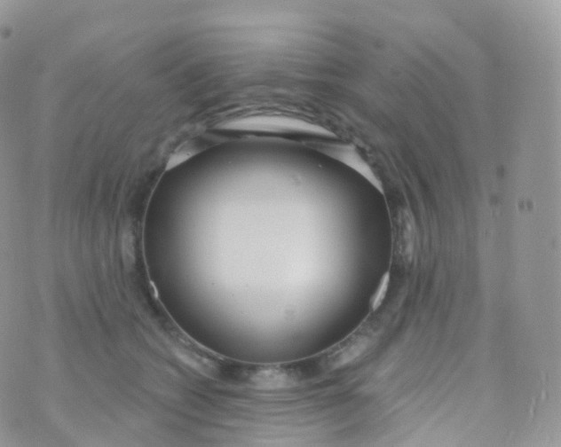 X0000070400562200606302014