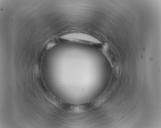 X0000070400564200606302014