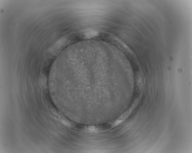 X0000070400565200606302014