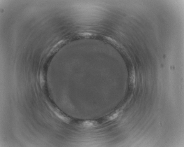 X0000070400566200606302014